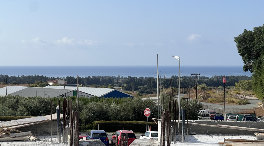 section catalog photo